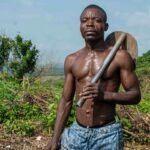 digital growth enhancement tools